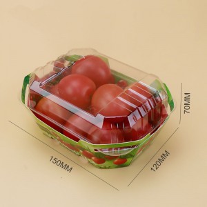 Boîtes en carton en plastique personnalisées pour récipient d\'emballage à punait fruit avec couvercle