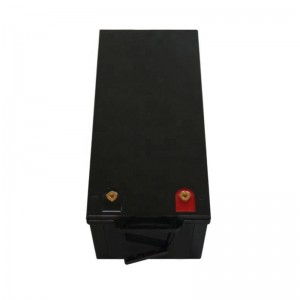 Rechargeable Lifepo4 Lithium Batter