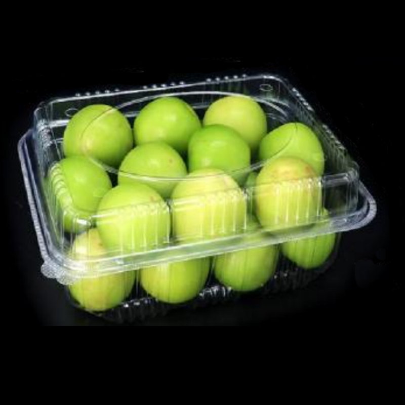 Boîte aux fruits avec couvercle 230 * 175 * 90 mm HGF-1000A