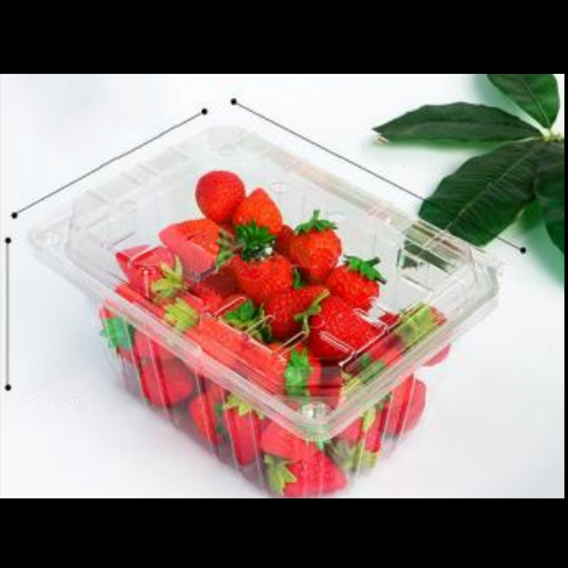 Boîte à fruits avec couvercle 210 * 155 * 100 mm HGF-950A