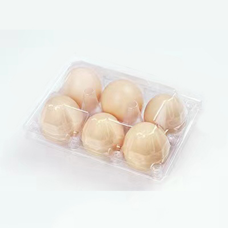 Plateau d'oeuf 155 * 105 * 65 mm 6 rainures