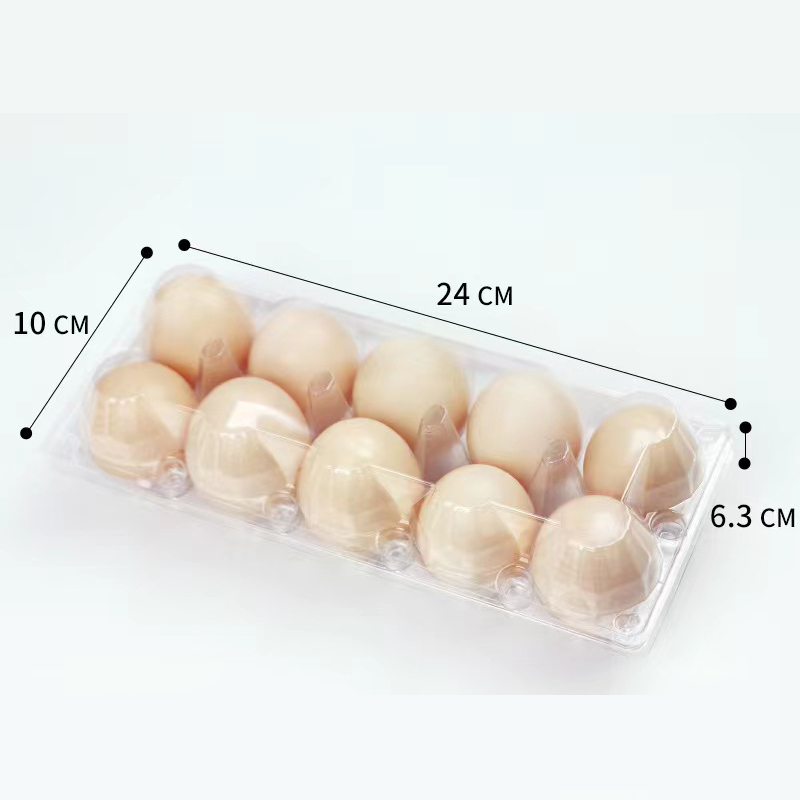 Plateau d'oeuf (moyen) 240 * 100 * 63 mm 10 rainures