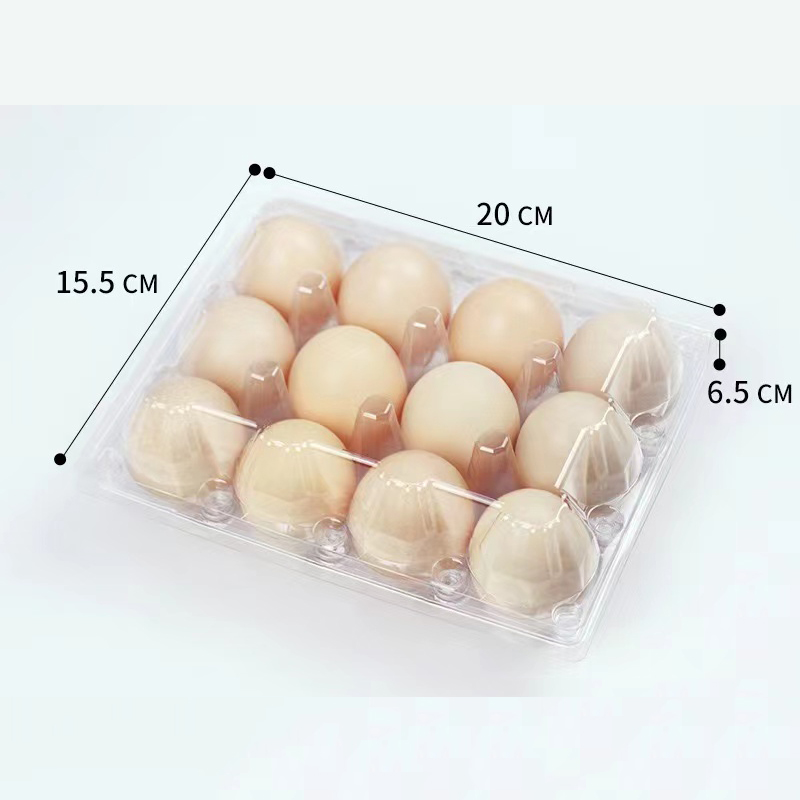 Plateau d'oeuf 200 * 155 * 65 mm 12 rainures 3 * 4