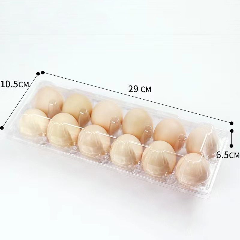 Plateau d'oeuf 290 * 105 * 65 mm 12 rainures 2 * 6