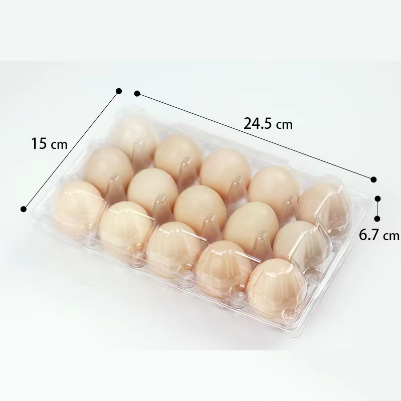 Plateau d'oeuf 245 * 150 * 67 mm 15 rainures 42 g