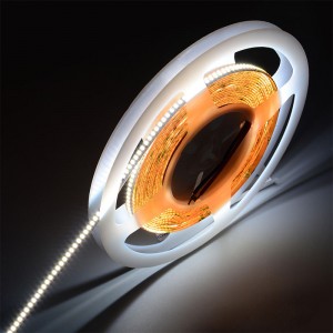 2216 300LEDS/m Lumière de bande LED flexible