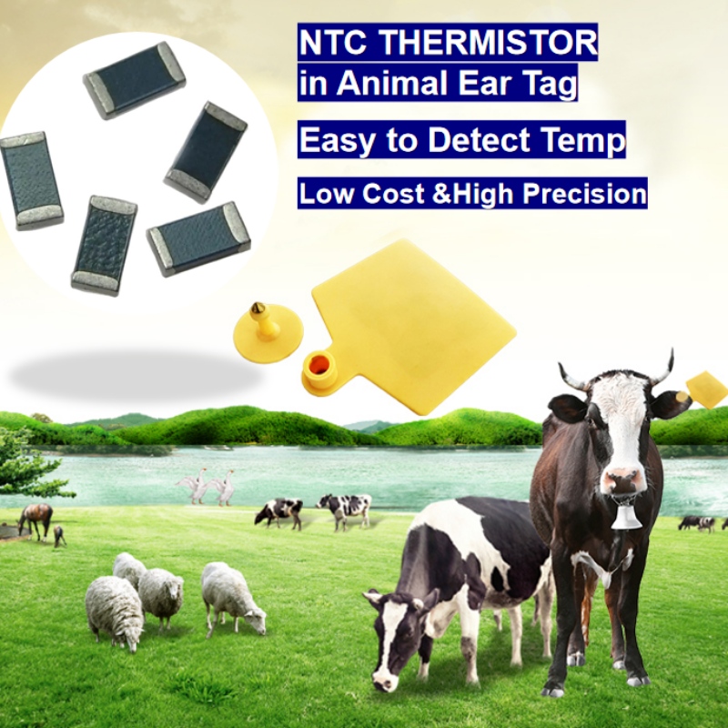 Capteur de température de la thermistance NTC dans l'étiquette intelligente de l'étiquette de l'oreille animale