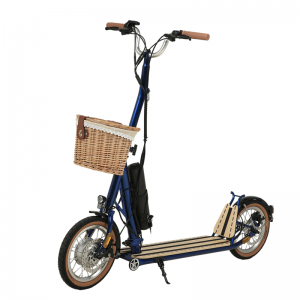 H10- 14 pouces Double pliage Machanisme Scooter électrique