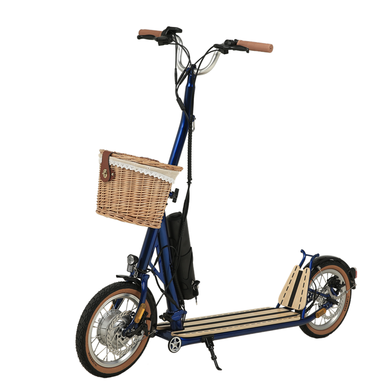 H10- 14 pouces Double pliage Machanisme Scooter électrique
