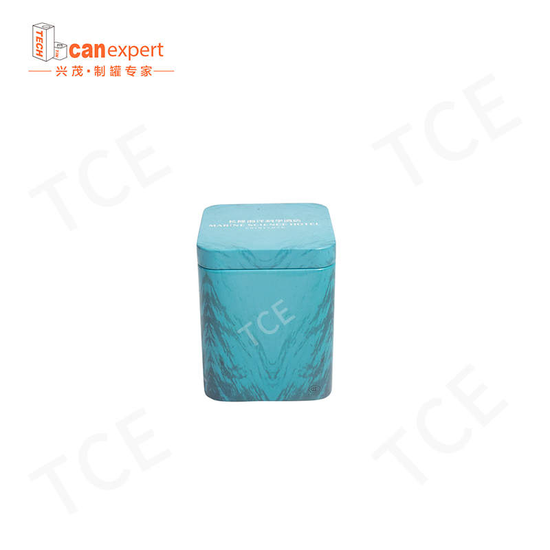 TCE-New Design Tin Gift Box Packaging Cans 0,28 mm carré Craft Gift Tin Can