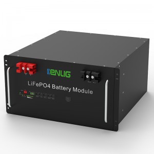 Rack monté 48V 100/150 200AH LIFEPO4 APPRIMANCES HOME RS232/RS485/CAN Communication Fast Charging Lithium Ion Battery