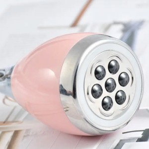 Aimant des brosses denettoyage du visage électrique