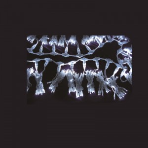 Ensemble de lumière de Noël LED