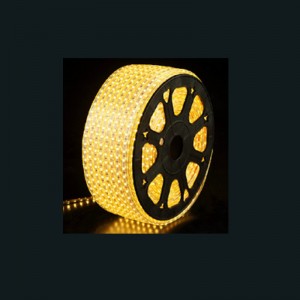 Ruban LED Lumière
