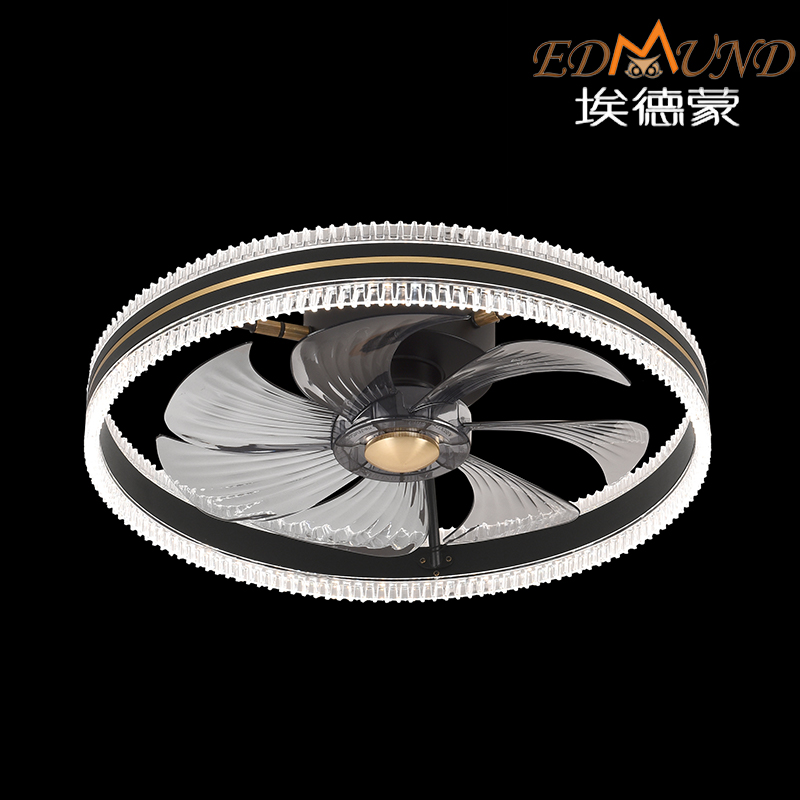 C002-BK Light de ventilateur de plafond
