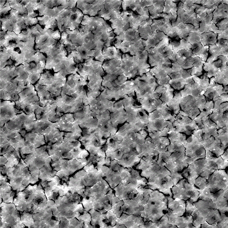 Technologie de pulvérisation en alliage de magnésium