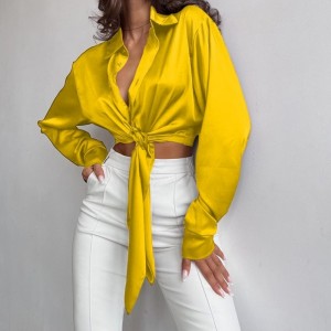 Texture de texture en satin de soie décontractée haut à manches longues