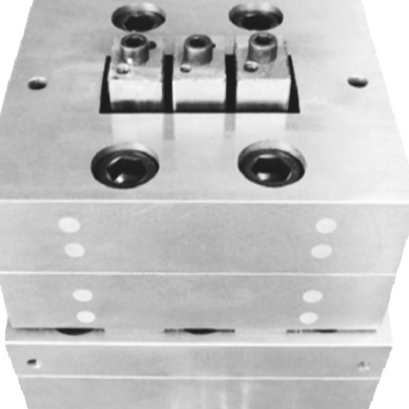 Moule d'extrusion en plastique en bois PE