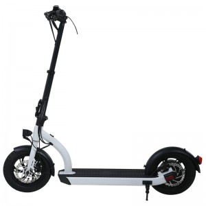 H8- 12inch 48V Scooter électrique/peut passer EN17128/eu brevet