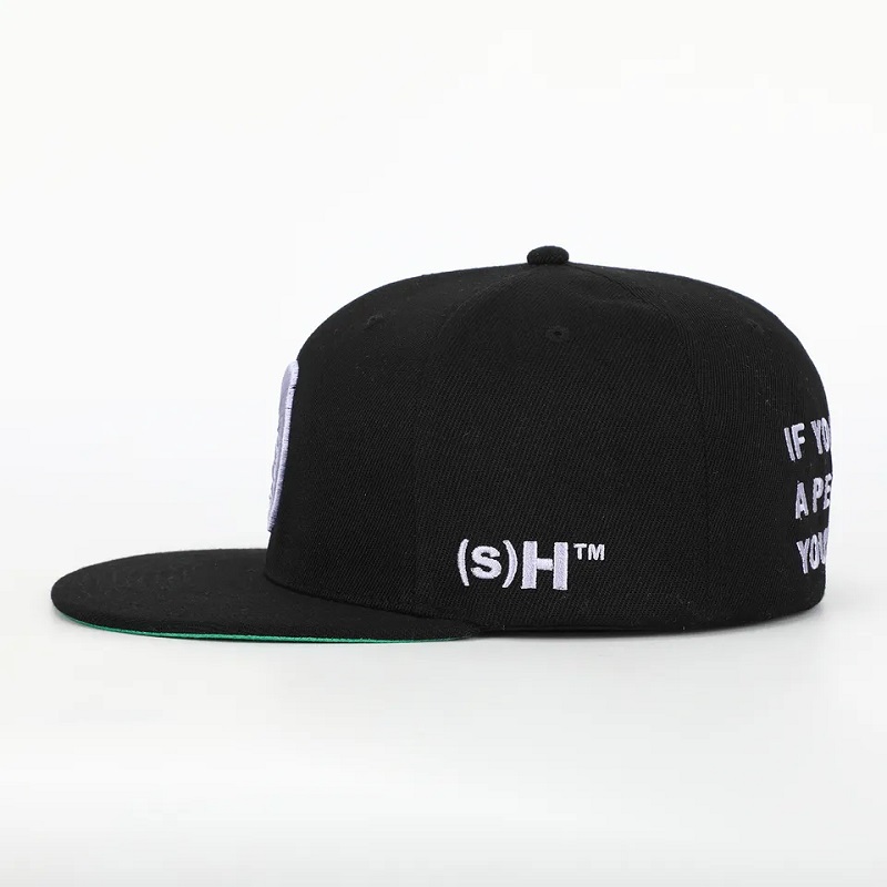 Panneau 6 panneaunoir acrylique fermé arrière flex ajustement Gorras CAPLE HAPPAGE APPELLEMENT 3D LOGO VERT SUPERBRIM HIP HOP SNAPBACK CAP