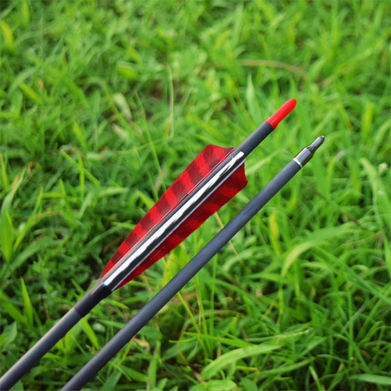 Arrows en carbone pour les archers d\'arc traditionnels tirant