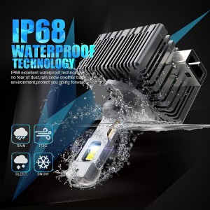 Bulbes de phares D1S/r LED