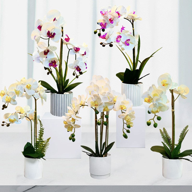 Vrai Touch Touch White Fleur d'orchidées artificielles blanches en pot blanc