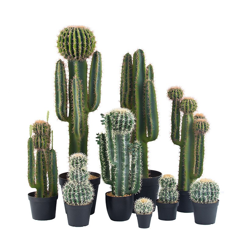 Plantes cactus artificielles de grande taille décoratives de grande qualité de grande qualité