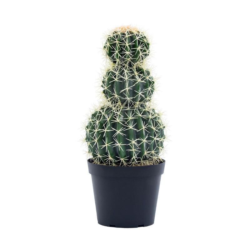Plantes cactus artificielles de grande taille décoratives de grande qualité de grande qualité