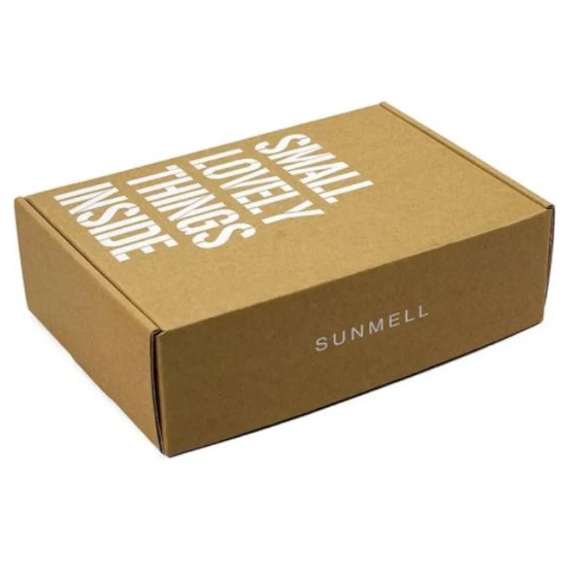 Impression personnalisée Logo Cosmetic Corruot Packaging Recycle Recycle Mailer Paper Box Expédition Airplane