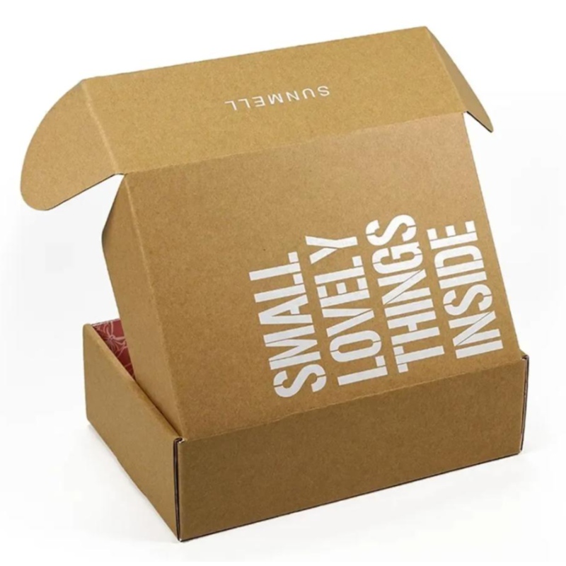 Impression personnalisée Logo Cosmetic Corruot Packaging Recycle Recycle Mailer Paper Box Expédition Airplane