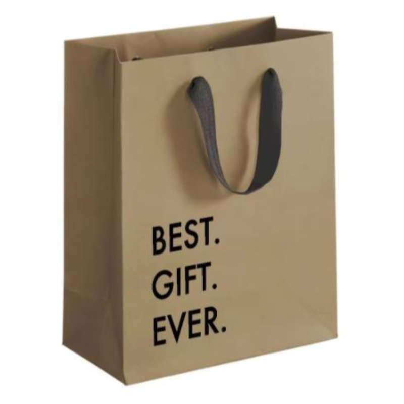 Biodégradable Reusable Custom Design Logo imprimé Brown Kraft Craft Boutique Paper Sacs avec poignée de ruban