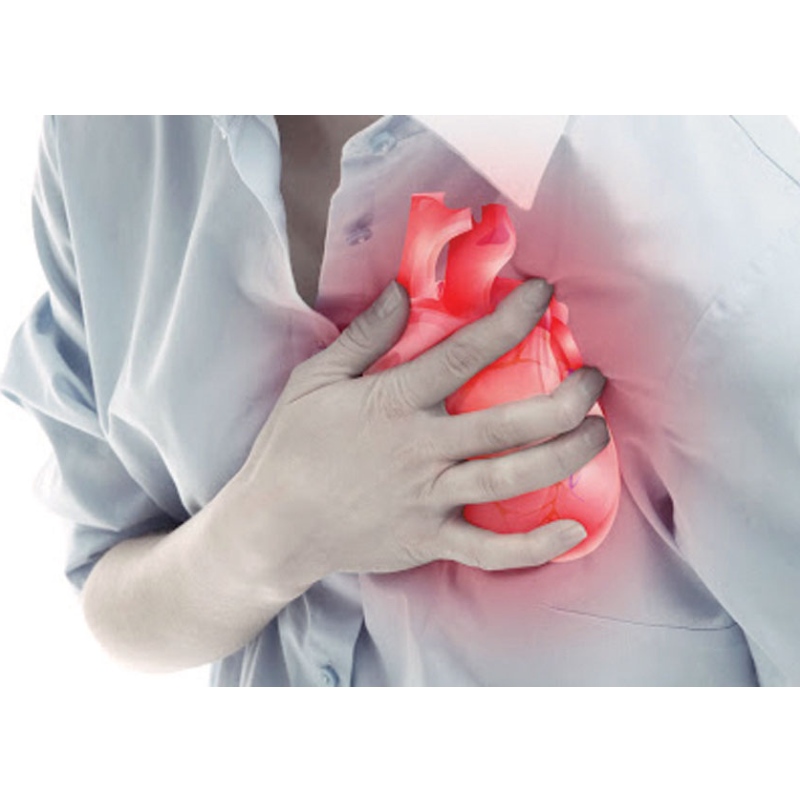 Université médicale de Nanjing: NMN améliore l\'infarctus du myocarde