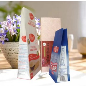 Prix ​​bon marché 1kg 2 kg 5 kg de sac d\'emballage de farine à vendre