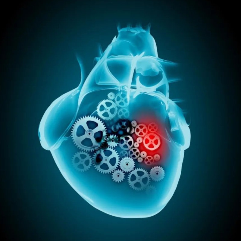 Progrès de la recherche du NAD+dans le traitement des maladies cardiovasculaires