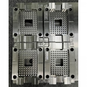 Moule de précision multi-empreintes ibi-8