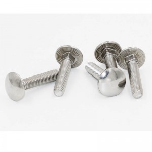 boulon de carrosserie en acier inoxydable