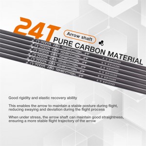 ID4.2 mm SP300-1500 flèches de carbone pour le tir cible