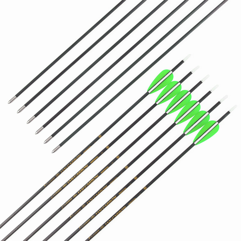 30t flèches de carbone de module de hautniveau