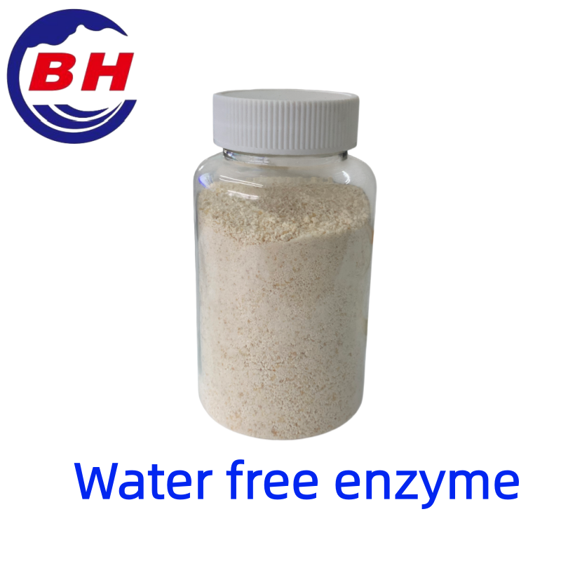 Enzyme sans eau H8811