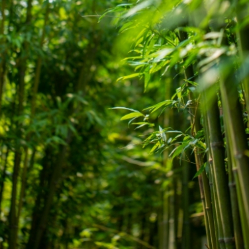 1702875149.jpg zmkm-800_800 (4).jpg