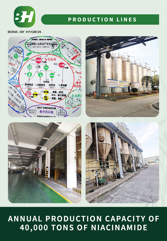 1704266150.jpg 3.jpg